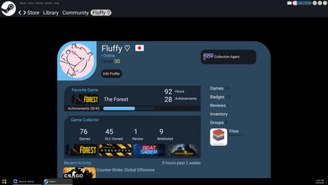 Steam Profile Page Redesign